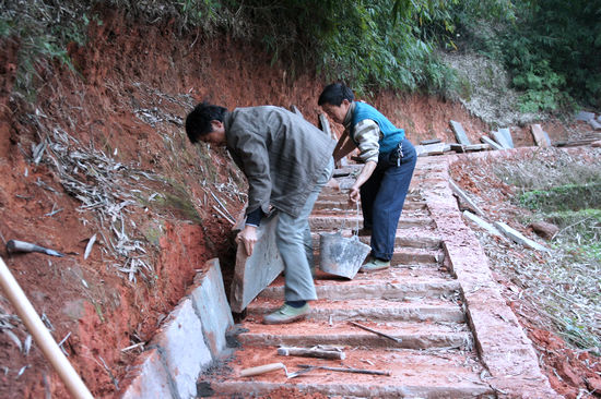 重民生&nbsp;天仙镇林区致富路四通八达遍乡村(图1)