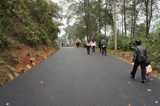 重民生&nbsp;天仙镇林区致富路四通八达遍乡村(图2)