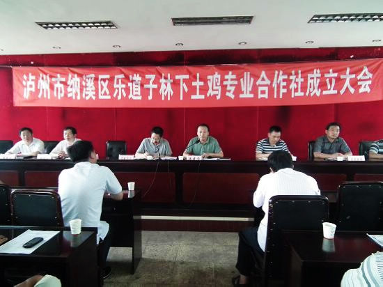 纳溪:“乐道子”林下土鸡专合社成立(图1) 纳溪:“乐道子”林下土鸡专合社成立(图1)