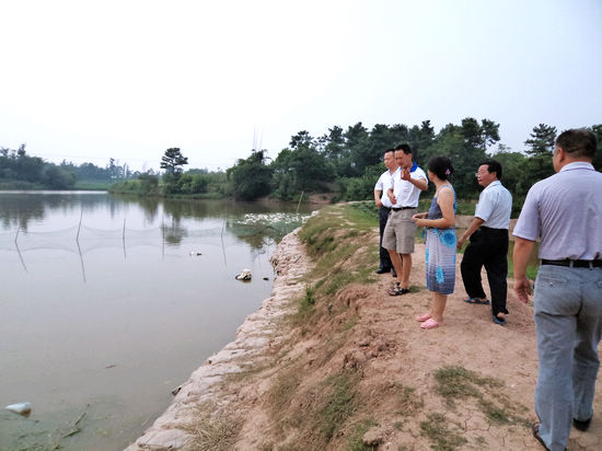 太伏镇：农技专家为生态种养大户支招(图1)