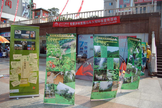 北京林大学子 关注叙永桫椤(图1) 北京林大学子 关注叙永桫椤(图1)