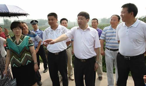 江安县倾力打造四川酿酒高粱第一县(图2)