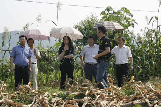 国土资源部法规司副司长魏莉华莅泸调研工作(图1) 国土资源部法规司副司长魏莉华莅泸调研工作(图1)
