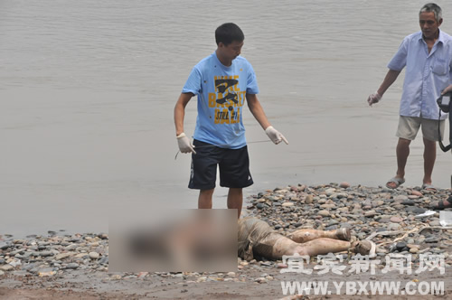 宜宾岷江二桥附近发现一具男尸&nbsp;死因尚不明