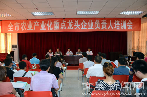 宜宾向农业产业化龙头企业发出集结令