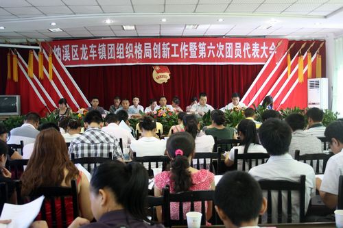 龙车镇：团组织格局创新工作暨第六次代表大会