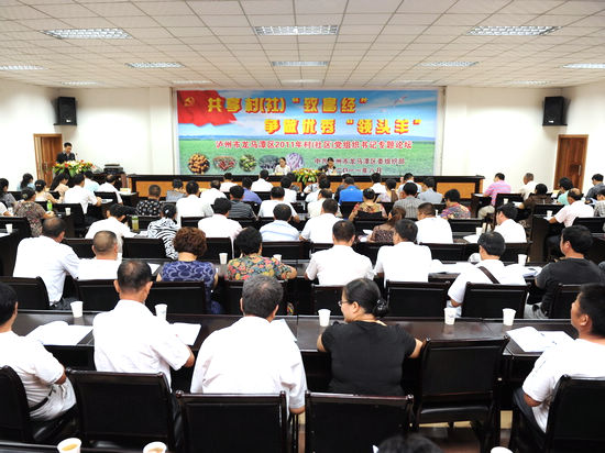 龙马潭区举行村（社区）党组织书记专题论坛(图1)