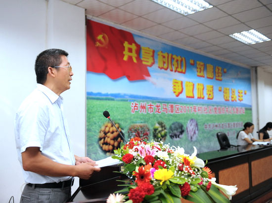 龙马潭区举行村（社区）党组织书记专题论坛