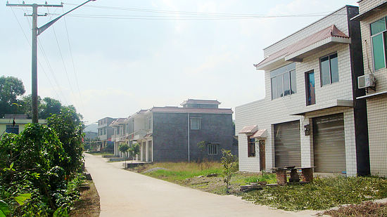 泰安镇阳院子优美环境示范村创建侧记
