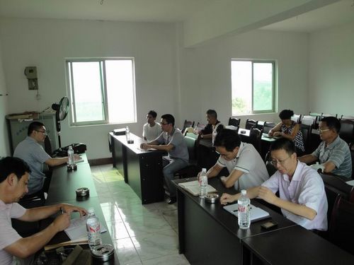 泰安镇党委调研基层组织建设(图3)