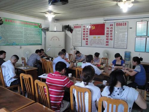 泰安镇党委调研基层组织建设(图1)