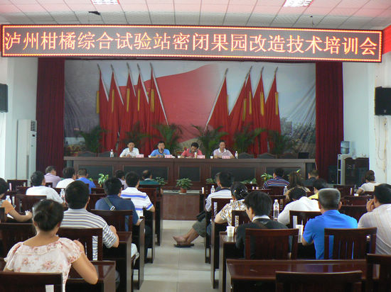 泸州市柑橘密植园改造技术培训现场会在牛滩召开(图3)