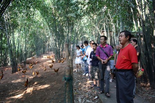 龙车镇：参观学习增信心，“林下鸡”助农增收(图1)