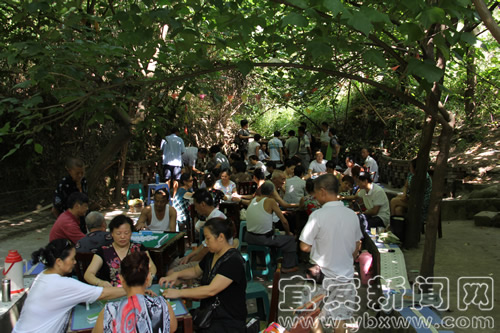洞前温度20℃&nbsp;城郊有个“避暑港”