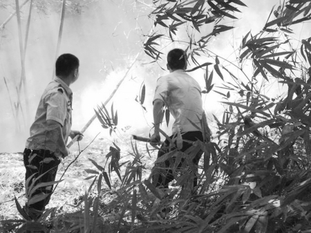 泸州出现历史最高温度&nbsp;泸县叙永先后发生多次山火