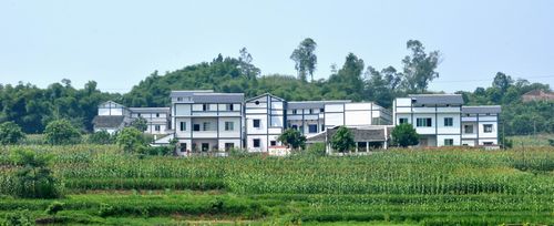 和谐新风沐乡村--喜看胡市农村旧貌换新颜