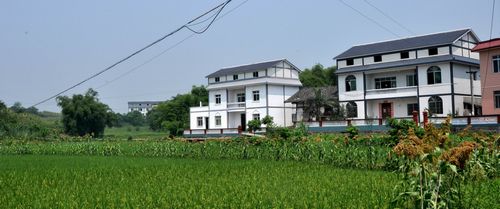 和谐新风沐乡村--喜看胡市农村旧貌换新颜(图4) 和谐新风沐乡村--喜看胡市农村旧貌换新颜(图4)
