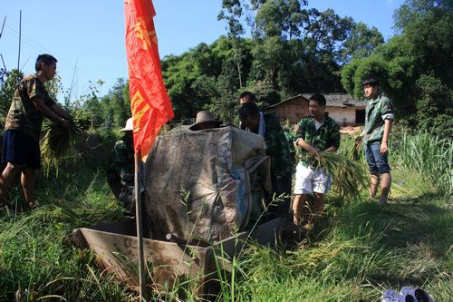 龙车镇：民兵应急队田间助秋收