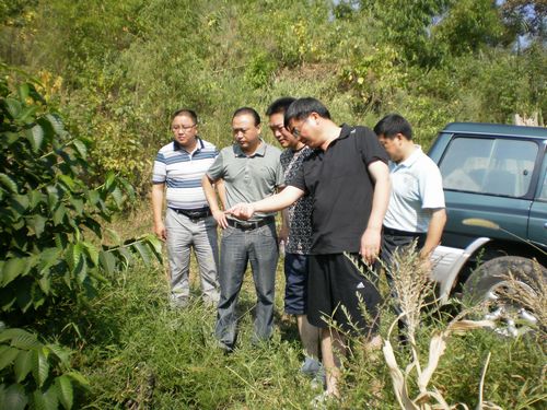 纳溪区区长熊启权到龙车查看旱情(图1) 纳溪区区长熊启权到龙车查看旱情(图1)