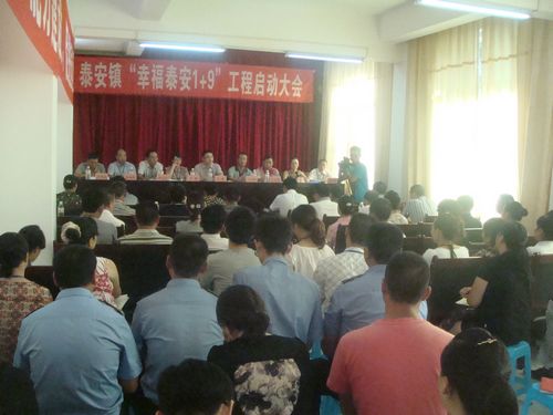 泰安镇：固本强基工程启动&nbsp;经济发展成果镇村共享