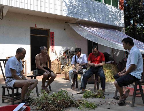 大渡口镇：访民情到农家