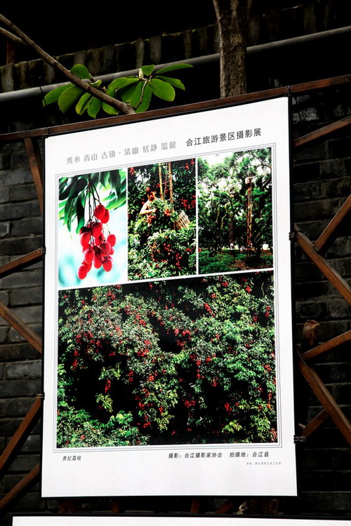 泸州:合江旅游景区摄影展在成都成功举办(图3) 泸州:合江旅游景区摄影展在成都成功举办(图3)