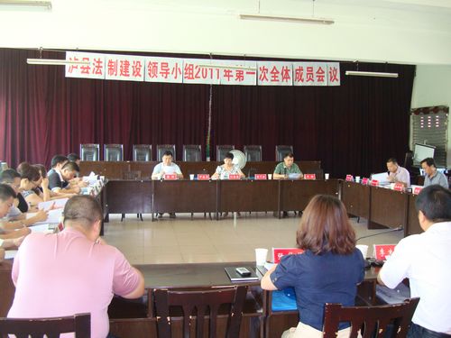 泸县召开法制建设领导小组2011第一次全体成员会(图2)