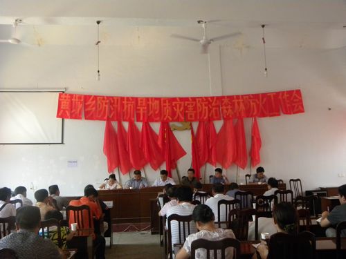 黄坭乡安排部署防汛抗旱地质灾害防治森林防火工作(图1)