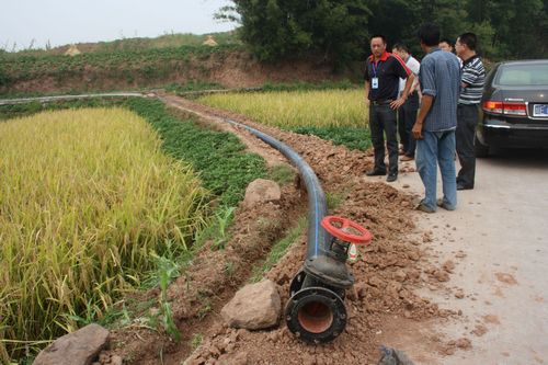 市、区农业局到龙车镇调研旱情(图1)