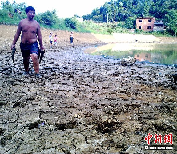 泸州遇50年罕见高温天气&nbsp;近百万人饮水困难(图4)