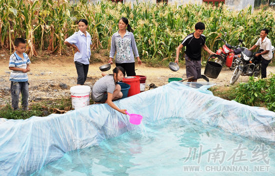 国家防总工作组莅临古叙检查指导抗旱救灾工作(图6) 国家防总工作组莅临古叙检查指导抗旱救灾工作(图6)
