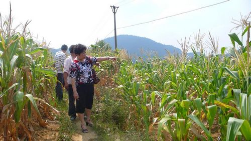 叙永食药监局到挂钩村调查旱情和森林防火工作(图1)