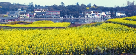 “最美村落评选”&nbsp;泸州乐道古镇受热捧(图7)