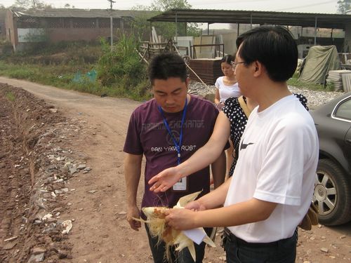 龙马潭区民政局到胡市调查旱灾受灾情况