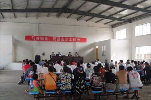 马岭镇召开食、药品安全工作会(图1)