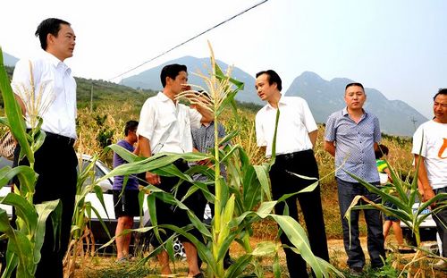 泸州市县总工会真情帮助彝乡同胞抗旱救灾