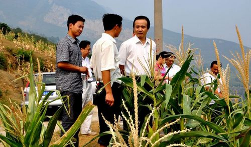 泸州市县总工会真情帮助彝乡同胞抗旱救灾(图1)