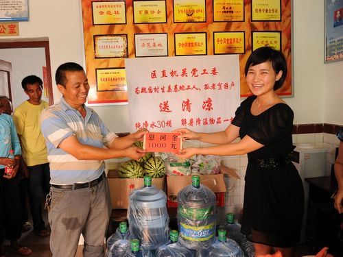 龙马潭区直机关工委到联系村开展送清凉活动(图1)