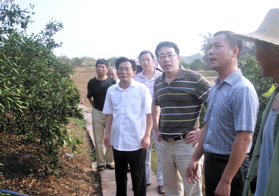 省农业厅莅临通滩镇指导抗旱工作