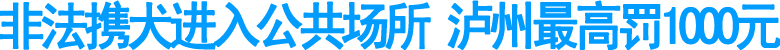 非法携犬进入公共场所&nbsp;泸州最高罚1000元(图1)