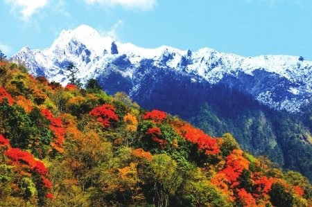 四川“枫”景独好&nbsp;金秋自驾游线路(图3)