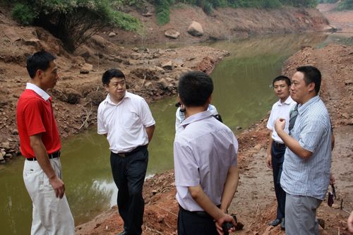 纳溪区区委书记、区人大常委会主任陈冠松到龙车镇指导抗旱工作(图1)