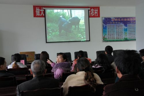 天仙镇：信息惠民&nbsp;架起群众致富桥(图1)