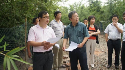 纳溪区林下鸡养殖小区获省畜牧局好评