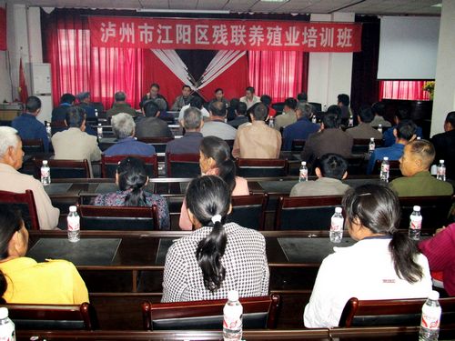 江阳区开展助残疾人发展养殖业培训(图2)