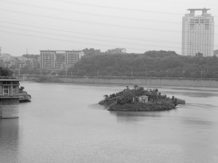 甜城湖变身“天鹅湖”(图1)