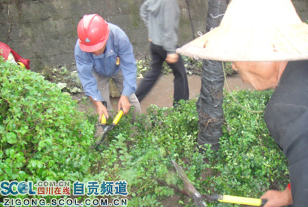 “洁美城乡”&nbsp;自贡全民齐“上阵”(图6)