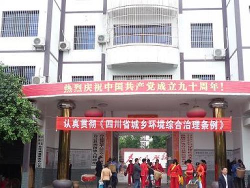 佛荫镇：积极宣传《四川省城乡环境综合治理条例》(图1)