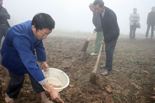 龙车镇：农超对接&nbsp;打造品牌萝卜