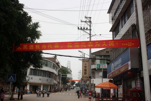 龙车镇：多形式加强人大代表换届选举工作宣传(图1)